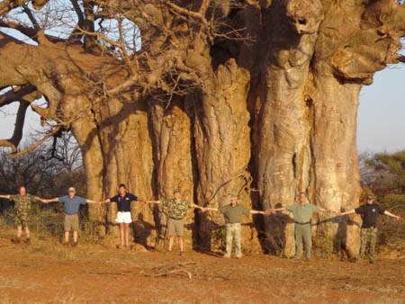 Mighty Baobab