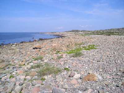 Bild från Rörö