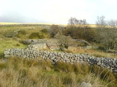 Sheep folds near the cache location