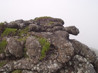 A rock formation in the shape of a turtle