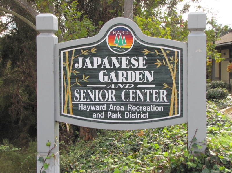 Hayward Japanese Garden Hayward Ca Japanese Gardens On