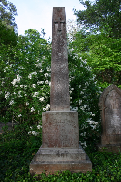 Henry T. Clark's Grave
