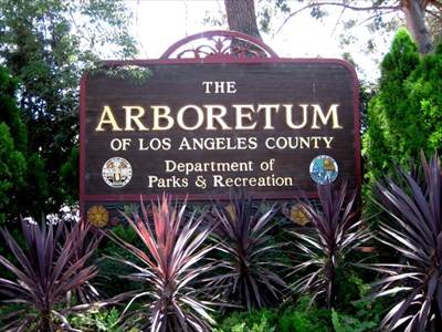 The Arboretum Of Los Angeles County Arcadia Ca Arboretums On