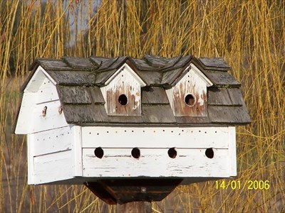 Barn Swallow Bird Houses 24