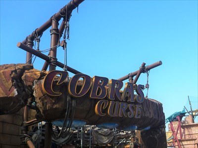 Cobra S Curse Busch Gardens Tampa Fl Roller Coasters On