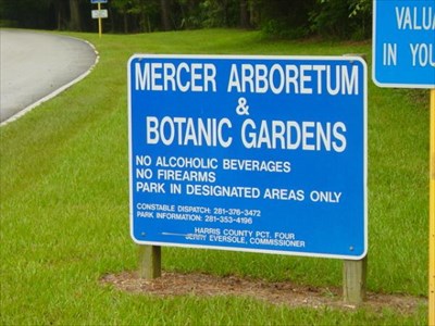 Mercer Arboretum Botanic Gardens Houston Tx Arboretums On