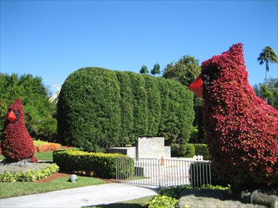 Cardinals Cypress Gardens Fl Topiaries On Waymarking Com