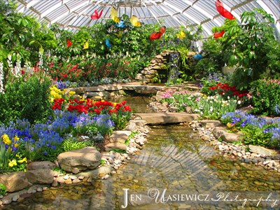Phipps Conservatory Pittsburgh Pa Botanical Gardens On