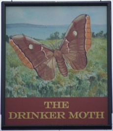 Drinker Moth - Ployters Road, Harlow, Essex, UK. - Pict