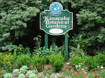Kanapaha Botanical Gardens Gainesville Fl Wikipedia Entries