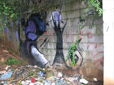graffiti - woman and moon through tree branches