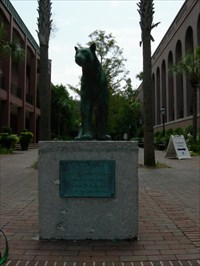 college of charleston mascot. College of Charleston