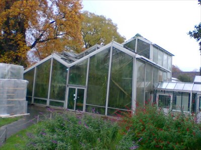 Botanical Garden Of The University Of Basel Switzerland