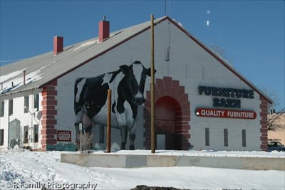 Furniture Barn S Cow Mural Flagstaff Az Murals On Waymarking Com