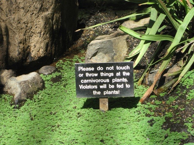 Carnivorous Plant Bog - Sign