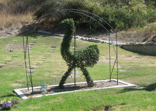 Carousel Topiary - Ostrich