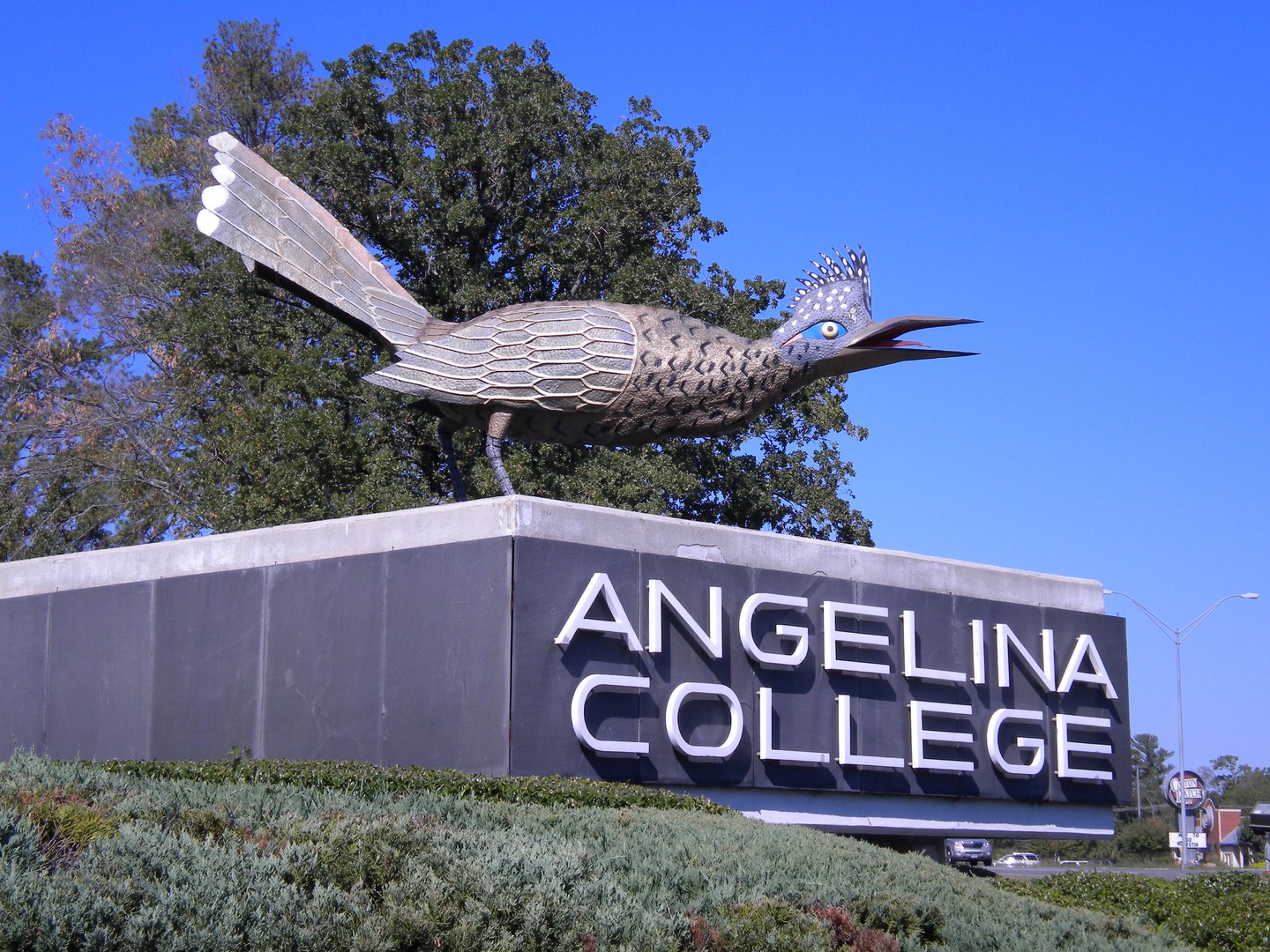 Angelina College 48